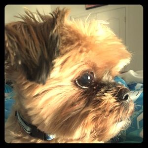 Meet your Posher, Helen